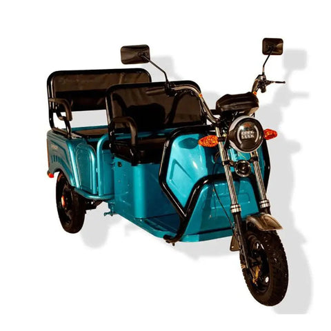 Pushpak 6000 2-Person Electric Trike Scooter Pushpak