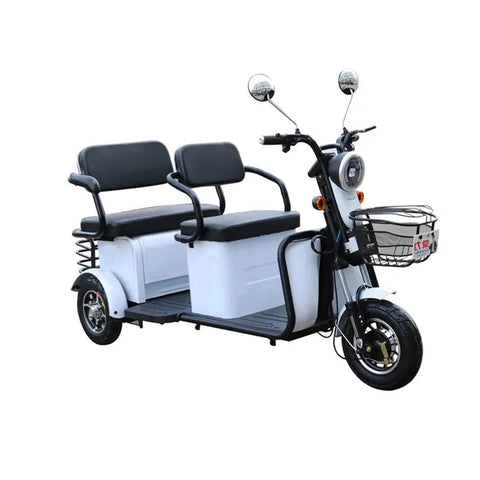 Pushpak 4000 2-Person Electric Trike Scooter Pushpak