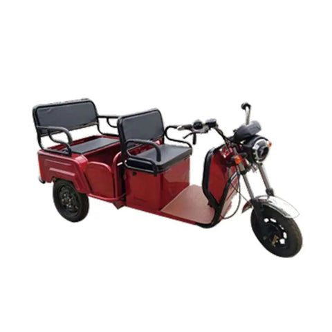 Pushpak 6000 2-Person Electric Trike Scooter Pushpak