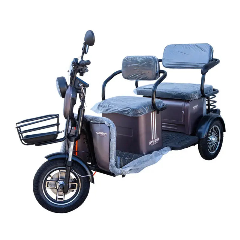 Pushpak 4000 2-Person Electric Trike Scooter Pushpak