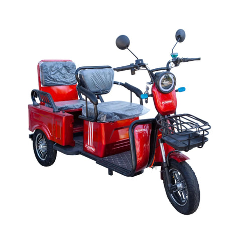 Pushpak 3000 2-Person Electric Trike Scooter Pushpak