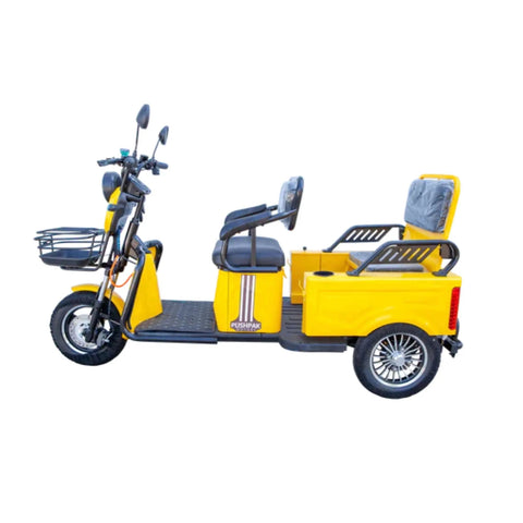 Pushpak 3000 2-Person Electric Trike Scooter Pushpak